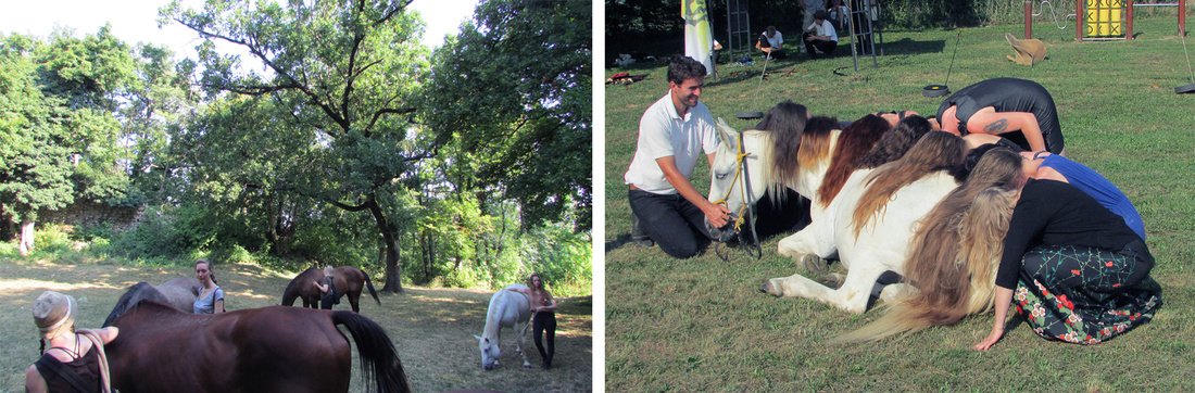 Activities from Horse and Art Residency 2015. Courtesy of Horse and Art Residency.